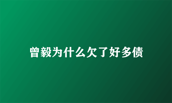 曾毅为什么欠了好多债