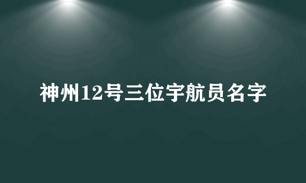 神州12号三位宇航员名字