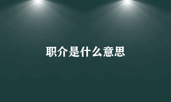 职介是什么意思