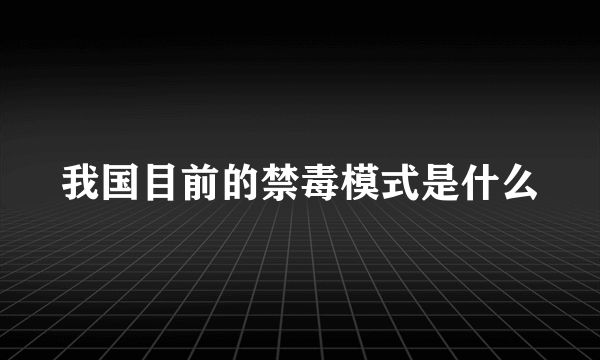 我国目前的禁毒模式是什么