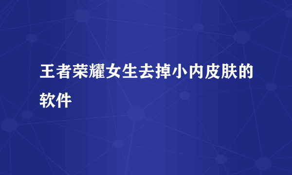 王者荣耀女生去掉小内皮肤的软件