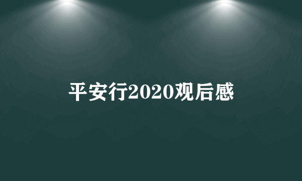 平安行2020观后感