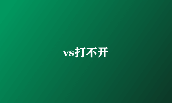 vs打不开