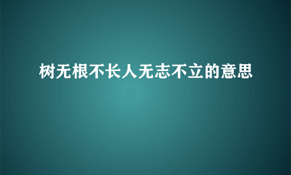 树无根不长人无志不立的意思