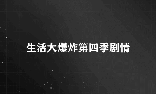 生活大爆炸第四季剧情