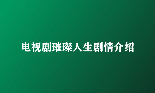 电视剧璀璨人生剧情介绍