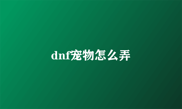 dnf宠物怎么弄