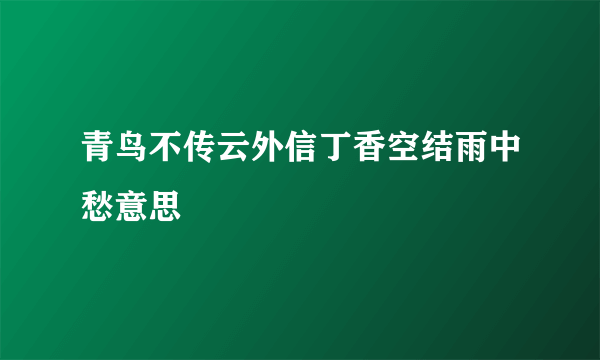 青鸟不传云外信丁香空结雨中愁意思