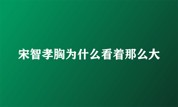 宋智孝胸为什么看着那么大