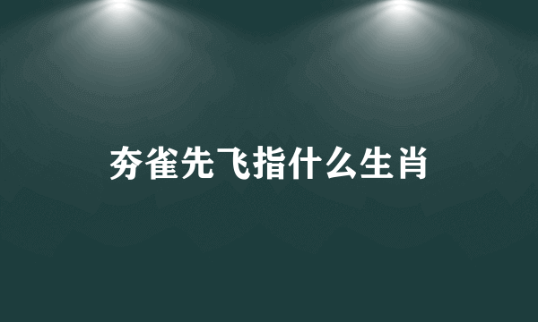 夯雀先飞指什么生肖