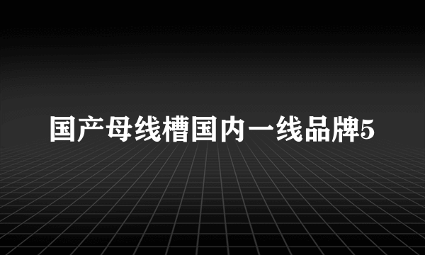 国产母线槽国内一线品牌5