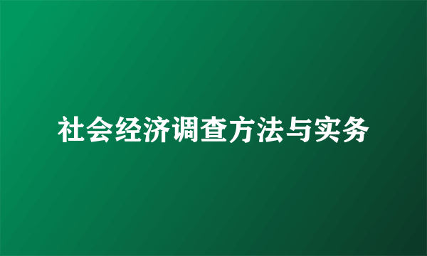 社会经济调查方法与实务