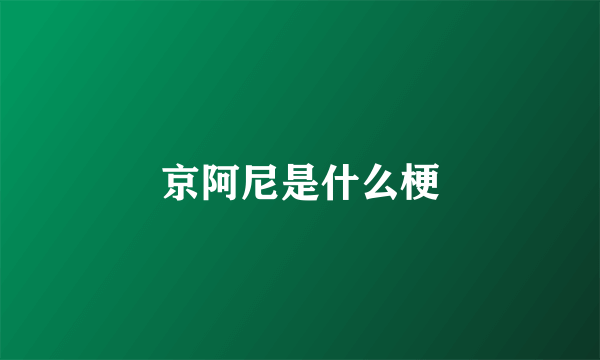 京阿尼是什么梗