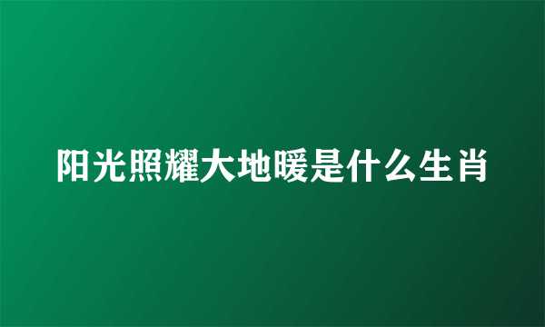 阳光照耀大地暖是什么生肖