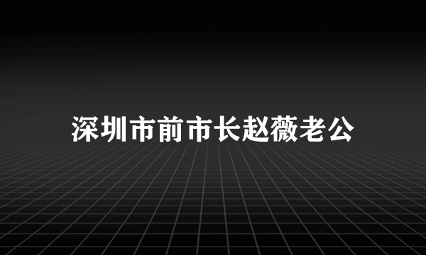 深圳市前市长赵薇老公