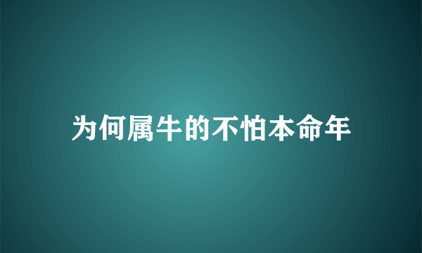 为何属牛的不怕本命年