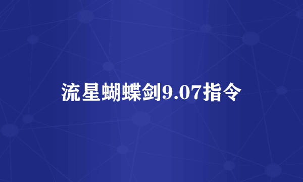 流星蝴蝶剑9.07指令