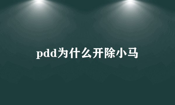 pdd为什么开除小马