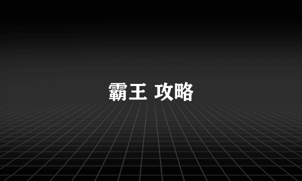 霸王 攻略