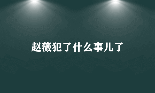 赵薇犯了什么事儿了