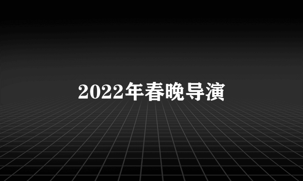 2022年春晚导演