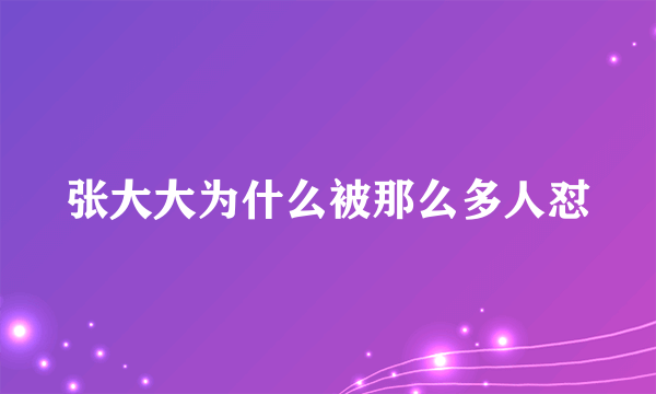 张大大为什么被那么多人怼