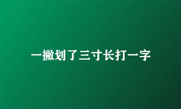 一撇划了三寸长打一字