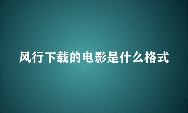 风行下载的电影是什么格式