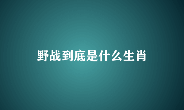 野战到底是什么生肖