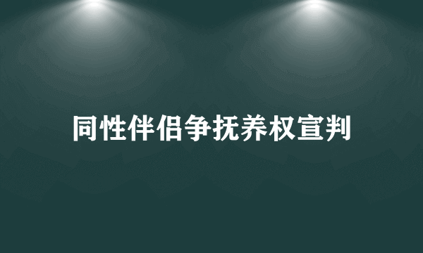 同性伴侣争抚养权宣判