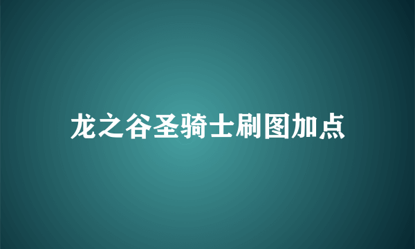 龙之谷圣骑士刷图加点