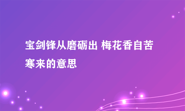 宝剑锋从磨砺出 梅花香自苦寒来的意思