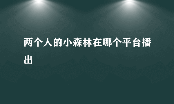 两个人的小森林在哪个平台播出