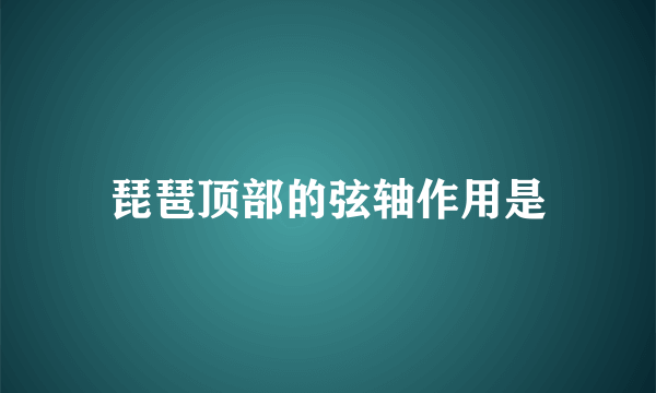 琵琶顶部的弦轴作用是