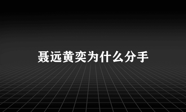 聂远黄奕为什么分手