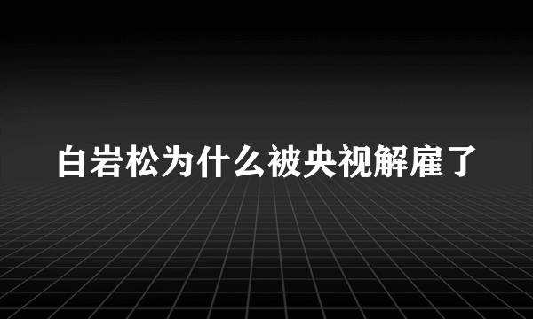 白岩松为什么被央视解雇了