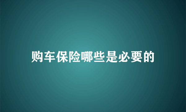 购车保险哪些是必要的