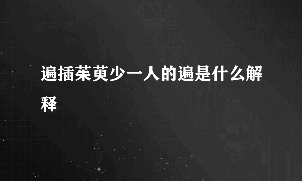 遍插茱萸少一人的遍是什么解释