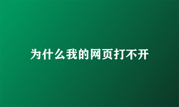 为什么我的网页打不开