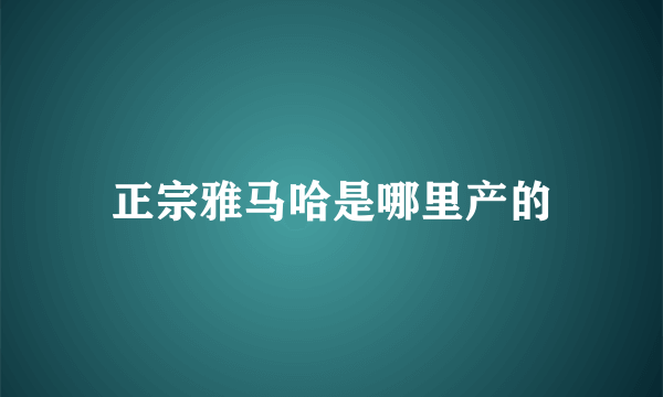 正宗雅马哈是哪里产的