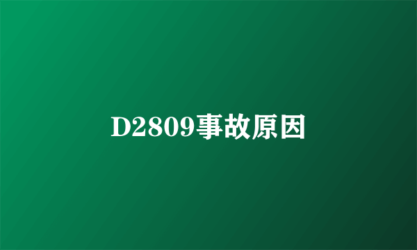 D2809事故原因