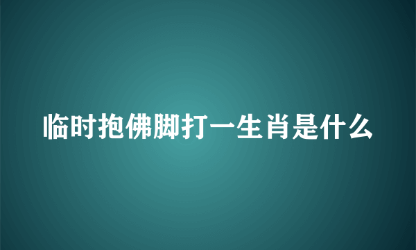 临时抱佛脚打一生肖是什么