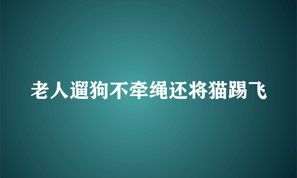 老人遛狗不牵绳还将猫踢飞