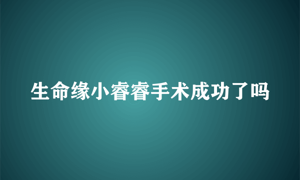 生命缘小睿睿手术成功了吗