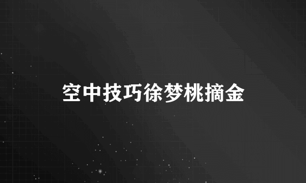 空中技巧徐梦桃摘金