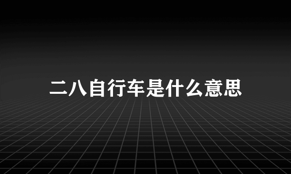 二八自行车是什么意思