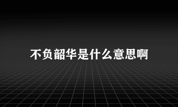 不负韶华是什么意思啊