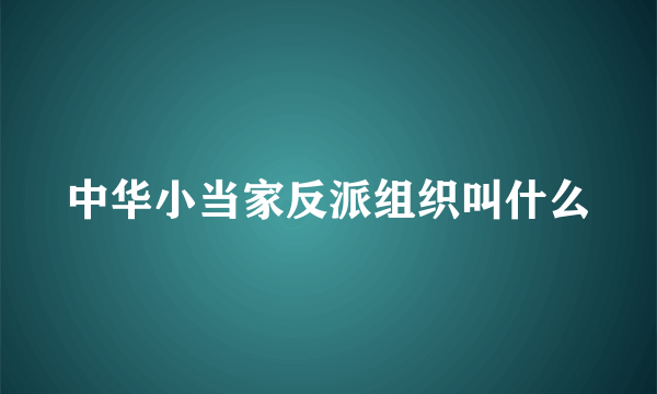 中华小当家反派组织叫什么