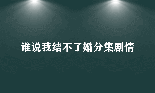 谁说我结不了婚分集剧情