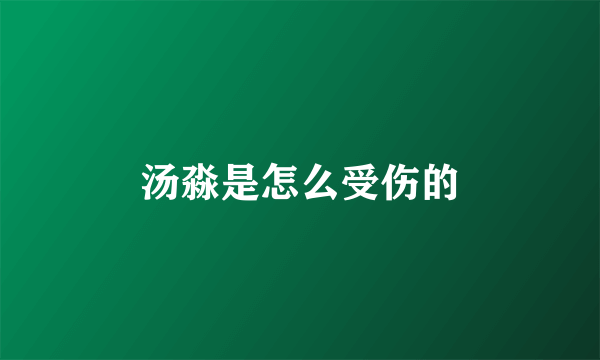 汤淼是怎么受伤的